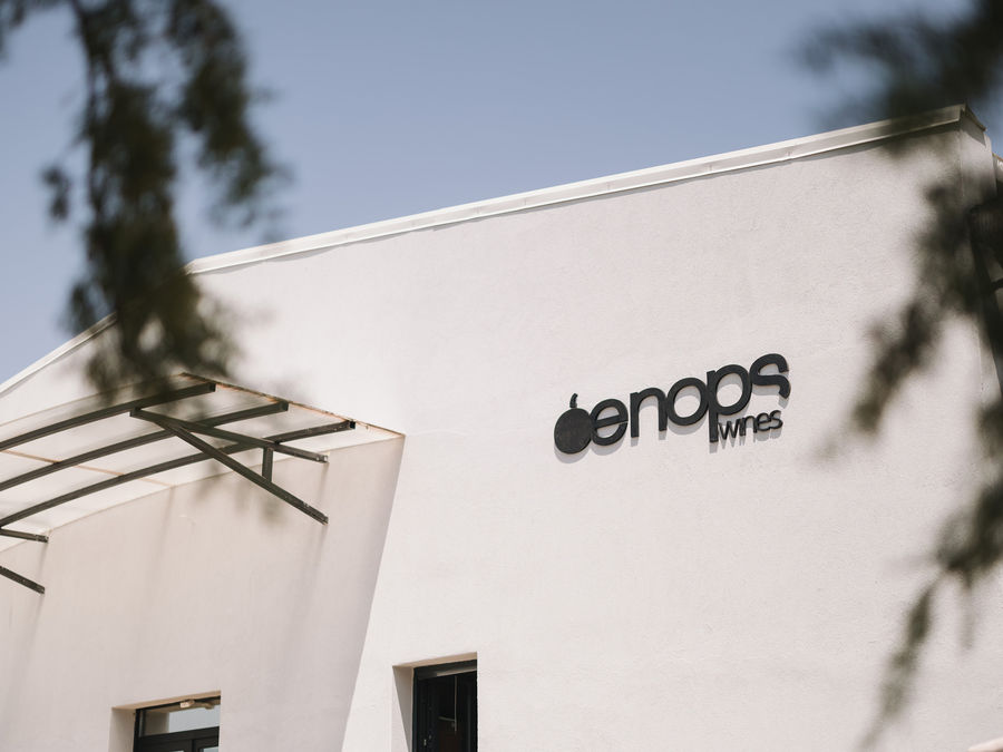 eWKWXYyk_Oenops Wines_2.jpg